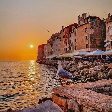 Mobile Home More Porton Nature Hideouts Rovinj Bagian luar foto