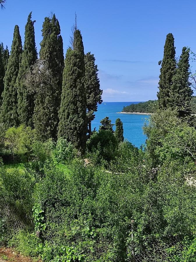 Mobile Home More Porton Nature Hideouts Rovinj Bagian luar foto