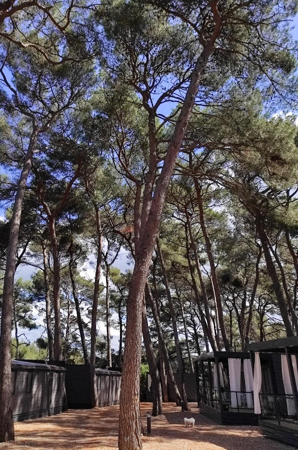 Mobile Home More Porton Nature Hideouts Rovinj Bagian luar foto