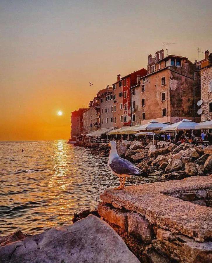 Mobile Home More Porton Nature Hideouts Rovinj Bagian luar foto